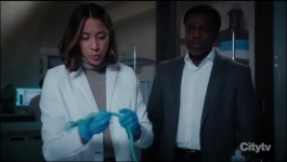 Hudson and Rex - Season 06 Episode 01